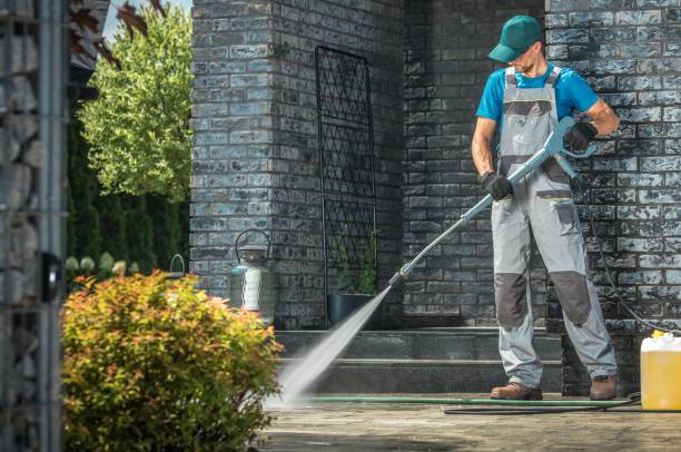Best Roof Cleaning and Mildew Removal in Kilgore, TX